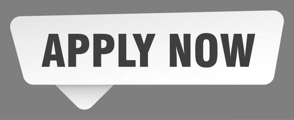 apply now sign. apply now white sticker isolated on gray background