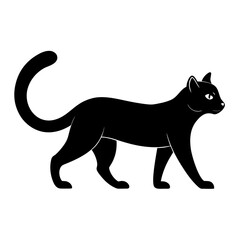 A long tail cat on white background.