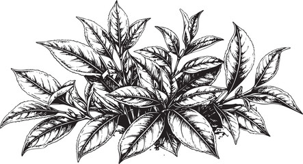 Naklejka premium Hand-Drawn Organic Plant Cluster for Herbal Products