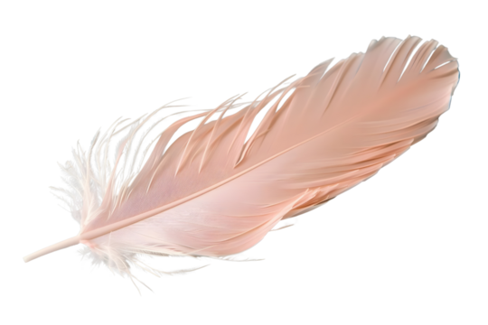 AI Image A delicately light pink feather resting on a solid black background creating an ethereal