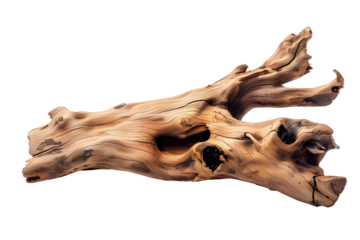 AI Image Evocative driftwood fragment displaying weathered texture against black backdrop