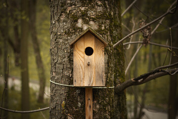 wooden bird house