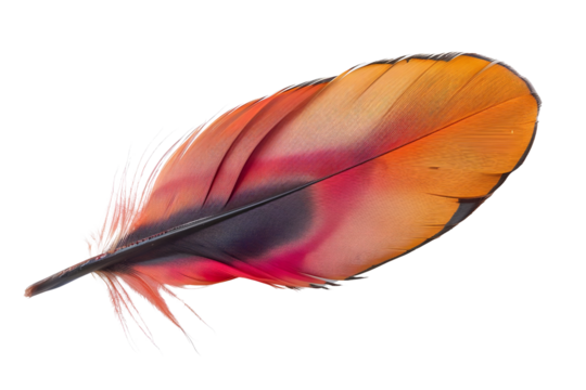 AI Image An exquisite feather with vibrant hues creates a captivating visual narrative against a
