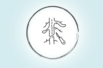 Vascular surgery is a medical specialty that focuses on the diagnosis and treatment of diseases of the blood vessels