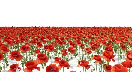 Champ coquelicots rouges vif soleil brillant paysage estival. AI Generated