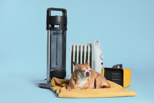 Cute little dog on blanket near electric heaters against light blue background