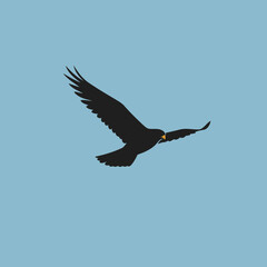 Minimalist Flat Design Vector Illustration of a Soaring Black Eagle or Hawk Silhouette Against a Clear Blue Sky