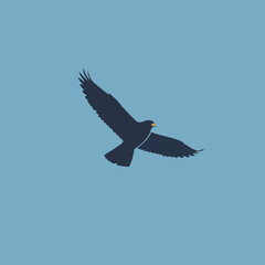 Minimalist Dark Blue Raptor Vector Illustration Soaring Gracefully Against a Clear Blue Sky