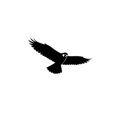 Striking Black Silhouette Vector Illustration of a Soaring Falcon in Flight