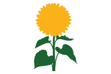 Fototapeta premium Minimalist sunflower with green stem and leaves flat color illustration isolated on white background 