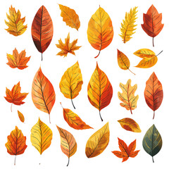 Obraz premium a collection of watercolor autumn leaves in shades of red, orange, and yellow are scattered across a white background.