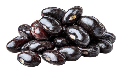 Harvesting black beans farm field food rural isolated on transparent background