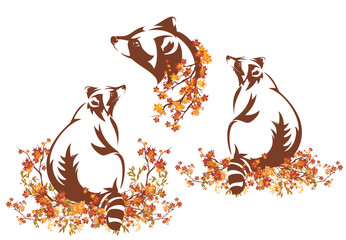cute sitting raccoon among autumn season tree branches - forest animal wildlife fall season vector design set