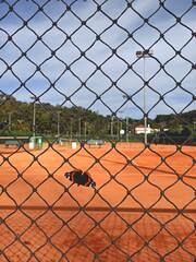 Butterfly resting on a fence, striking contrast between nature and sport. In the background, red Clay tennis court in Lisbon. Sports articles, wellness blogs. Athletic themes with natural elements
