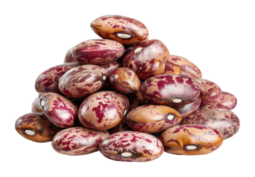 Harvesting colorful pinto beans rustic farm food isolated on transparent background