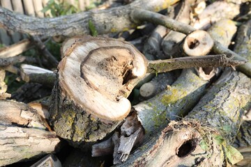 Pile of cut firewood in yard, closeup