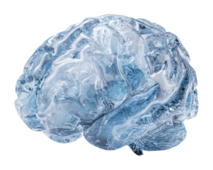 Artistic glass brain sculpture decorative creative isolated on transparent background