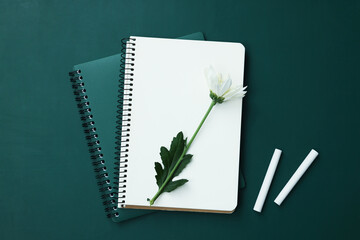 Happy Teacher's Day. Notebooks, flower and pieces of chalk on chalkboard, flat lay