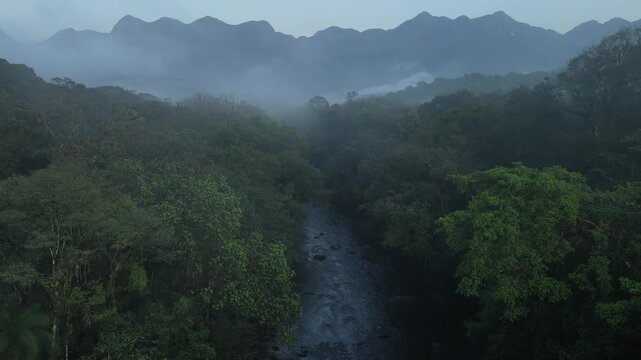 Vista a&eacute;rea com voo de drone ao nascer do sol em Morretes no litoral do Paran&aacute; sobre a mata atl&acirc;ntica com neblina com vista a serra da graciosa e o morro do sete ao fundo sobre o rio ipiranga