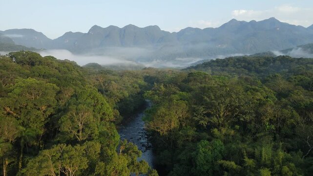 Vista a&eacute;rea com voo de drone ao nascer do sol em Morretes no litoral do Paran&aacute; sobre a mata atl&acirc;ntica com neblina com vista a serra da graciosa ao fundo sobre o rio ipiranga