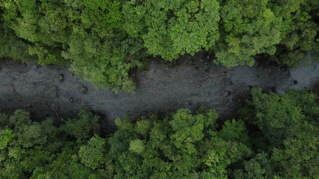Vista a&eacute;rea com voo de drone em Morretes no litoral do Paran&aacute; sobre a mata atl&acirc;ntica com neblina sobre o rio ipiranga