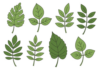 set of green leaves