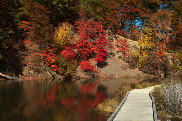 A wetland boardwalk edges a stream with reflections of autumn foliage in Rocky River Reservation, part of the Greater Cleveland Ohio metro parks system.
