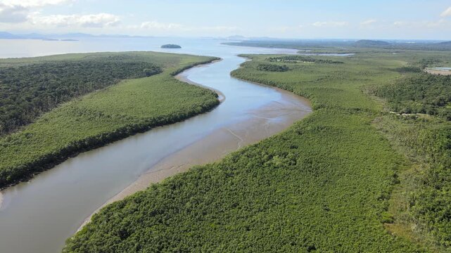 Vista a&eacute;rea sobre mata atl&acirc;ntica em mangue na regi&atilde;o de Alexandra em Paranagu&aacute; no litoral do Paran&aacute; Brasil