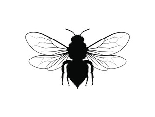 Bee wings icon in silhouette white background.