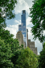 A tall glass skyscraper stands behind lush green trees in New York City. The building is framed by tree branches, creating a vibrant contrast between nature and architecture.