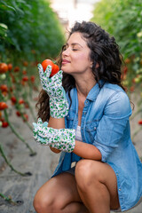 Young Woman With Curly Hair Enjoying Fresh Harvested Tomato In Indoor Greenhouse Setting