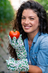 Young Woman Smiling Holding Fresh Red Tomato Wearing Floral Gardening Gloves in Greenhouse