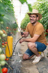 Smiling man in straw hat spraying tomato plants in bright greenhouse environment