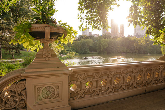A decorative flower planter sits atop Bow Bridge, with a scenic view of the lake and Manhattan skyline at sunset. Warm light highlights the greenery and peaceful atmosphere of Central Park.