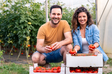 Happy Young Man And Woman Holding Fresh Tomatoes In Wooden Crates Inside Greenhouse