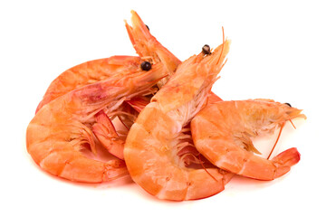 Cooked Shrimps, isolated on white background