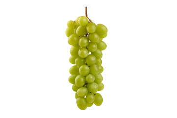 Green Grapes Bunch, Fresh Fruit, isolated on white background