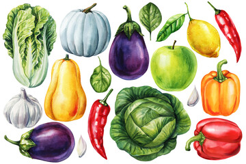 Vegetables and Fruits Set Eggplant Cabbage Pumpkin Apple Lemon Pepper Garlic Botanical Fresh Organic Food Watercolor Illustration