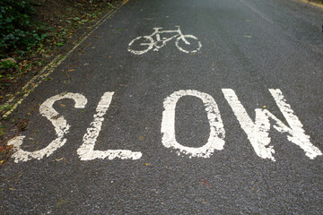 White lettering on asphalt reads 'SLOW' with a bicycle symbol above it, indicating a road combined with a cycling path. The markings are worn. Photo is taken near a village in the Cotswolds, England