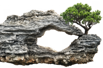 Rocky archway with green tree isolated on a transparent background