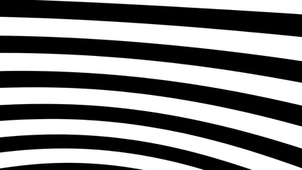 Abstract Black and White Curved Lines Pattern.