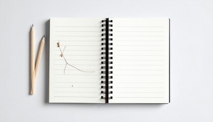 Open spiral-bound notebook with blank lined pages on a white surface&mdash;minimalist, clean, and ready for writing or planning.