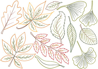 Set of illustrations for postcards, flyers, banners