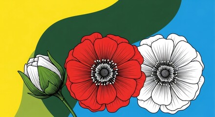 Modern illustration of red and white poppy flowers. Botanical line art on a colorful abstract background. Floral graphic design concept