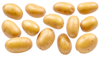 Obraz premium Fresh Potatoes in Motion PNG Cutout
