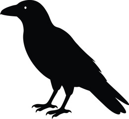 Raven silhouette vector art illustration