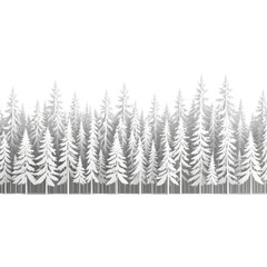 Obraz premium Silhouette of a forest of wintery white pine trees on black background