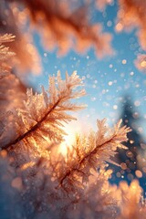 Frosted plants illuminated by sunlight