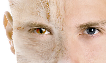 Young man with half face as cat, double exposure. Collage on white background