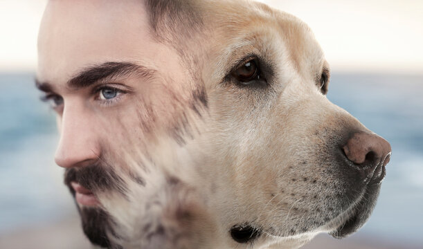 Young woman and dog, double exposure. Collage on blurred background